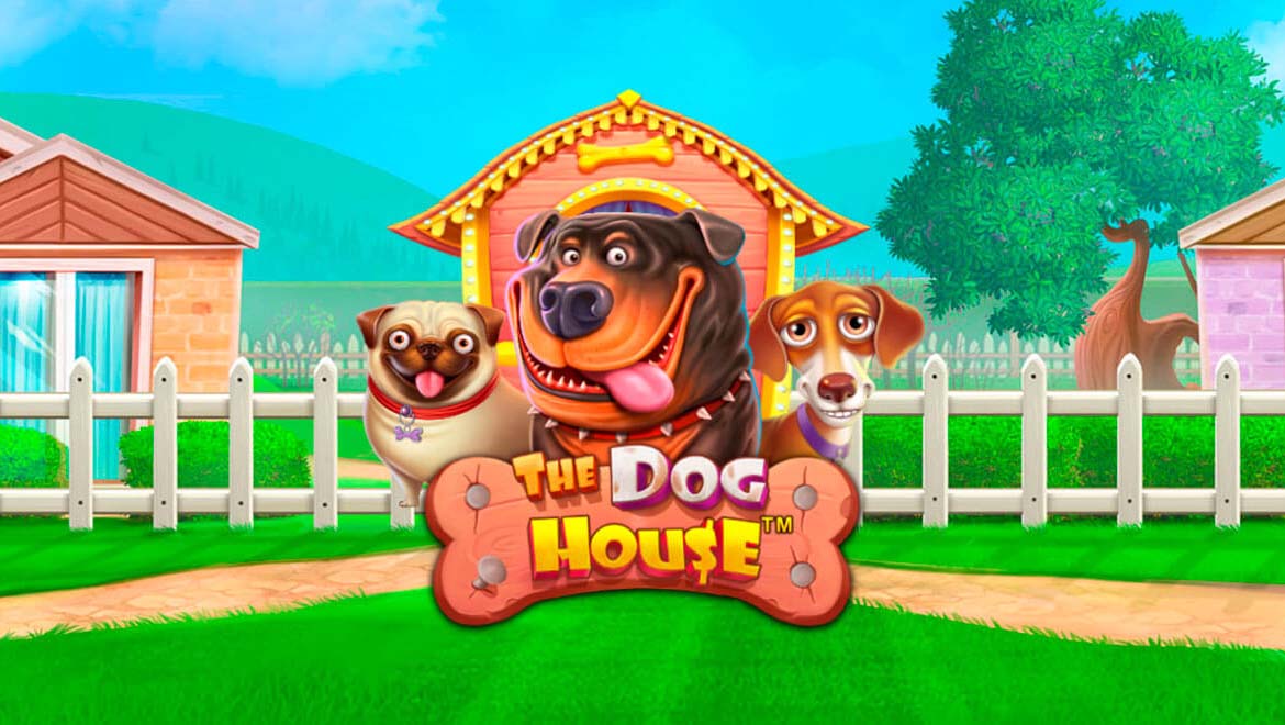 Dog House ekran görüntüsü oyunu